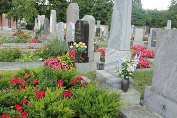 Foto von geschmückten Gräbern am Friedhof Erlaa