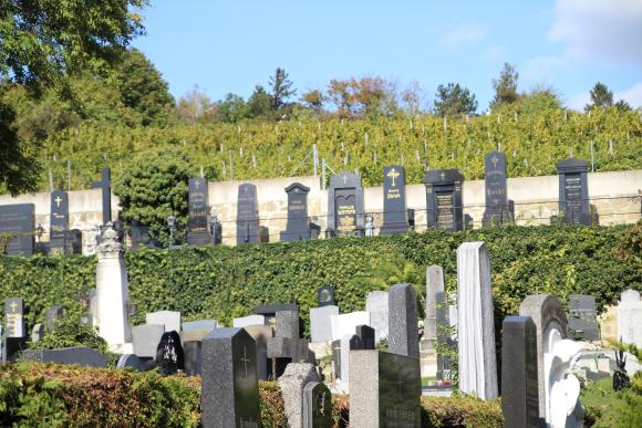 Foto von Grabsteinen am Friedhof Heiligenstadt