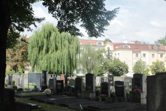 Fotos von Grabstätten am Friedhof Hietzing
