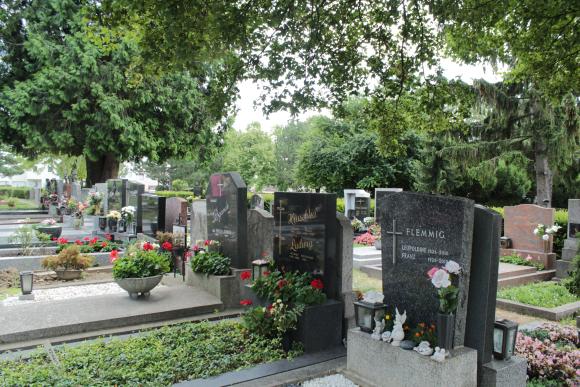 Fotos von Gräbern am Friedhof Hütteldorf