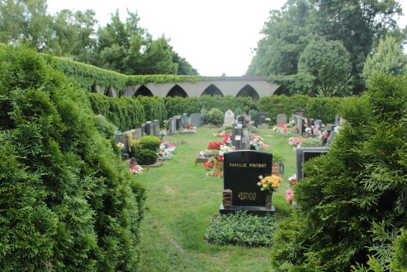 Foto des Urnenhains am Friedhof Inzersdorf