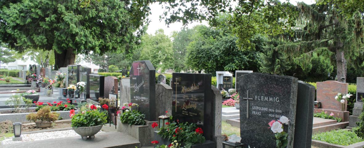 Foto von Grabsteinen am Friedhof Oberlaa