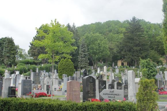 Foto von Grabsteinen am Friedhof Ober St. Veit