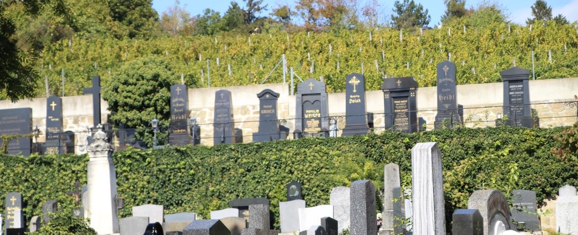 Foto von Grabsteinen am Friedhof Pötzleinsdorf