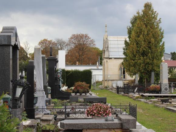 Foto von Gräbern am Friedhof Rodaun