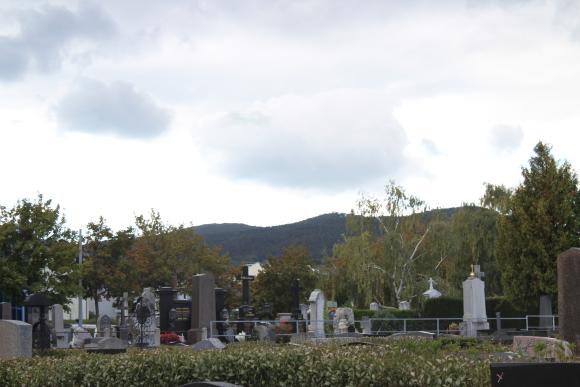 Foto von Grabstätten am Friedhof Rodaun