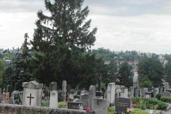 Foto von Grabsteinen am Friedhof Sievering
