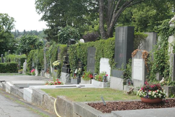 Foto von Gräbern am Friedhof Sievering