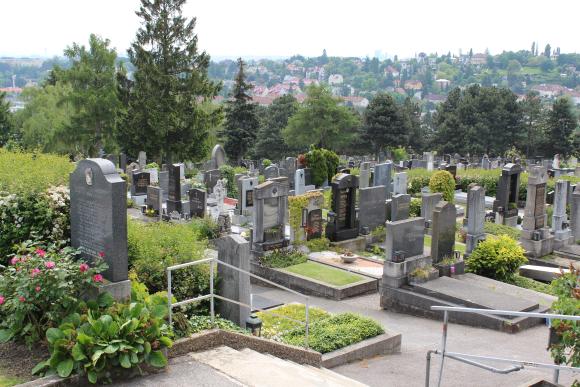 Foto von Gräbern mit Aussicht am Friedhof Sievering