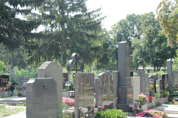 Foto von Grabsteinen am Friedhof Stammersdorf Zentral