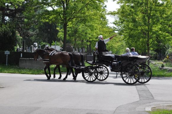Kutsche mit 2 Pferden im  Wiener Zentralfriedhof